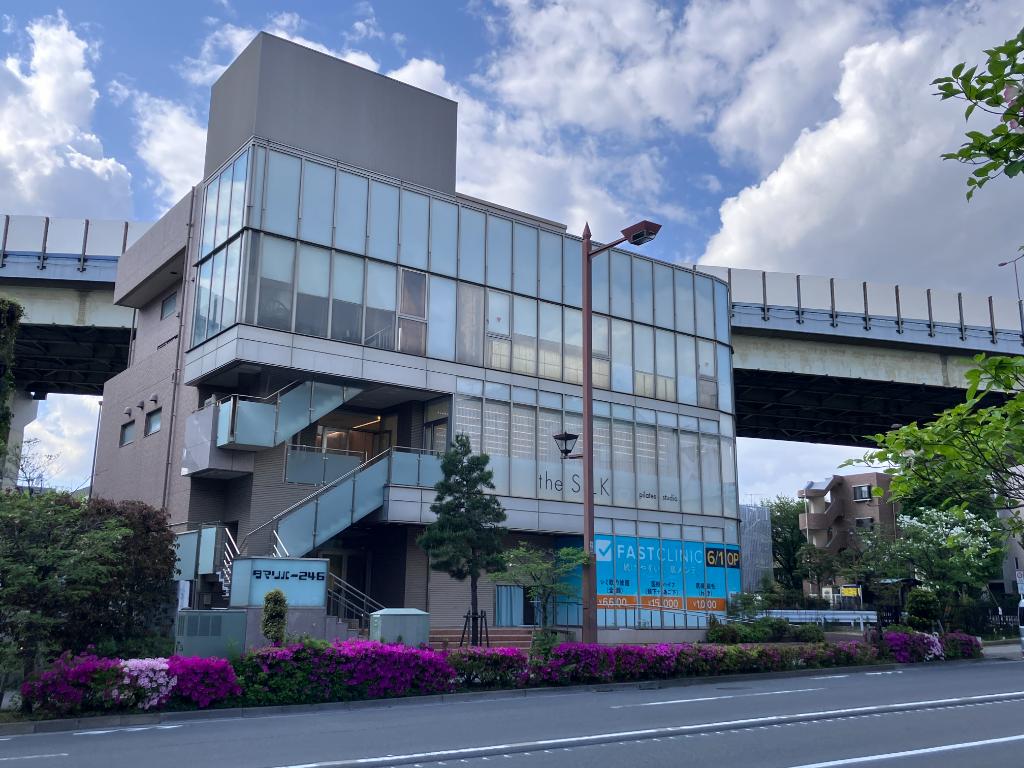 世田谷区｜リードシー二子玉川ビル（旧タマリバー２４６）の写真