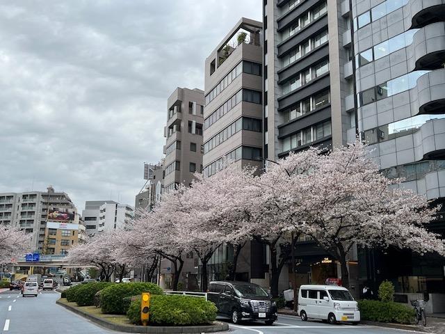 渋谷区｜ＨＡＧＩＷＡＲＡ ＢＬＤＧ．１ （ハギワラビル イチ） の写真